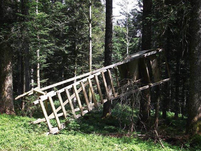 In Sdbaden werden immer wieder Hochsi... wie dieser vor einem Jahr bei Bernau.  | Foto: Wolfgang Steier