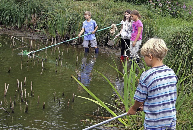 Kinder fischen nach den Bewohnern des Teichs.   | Foto: Heidi Fssel