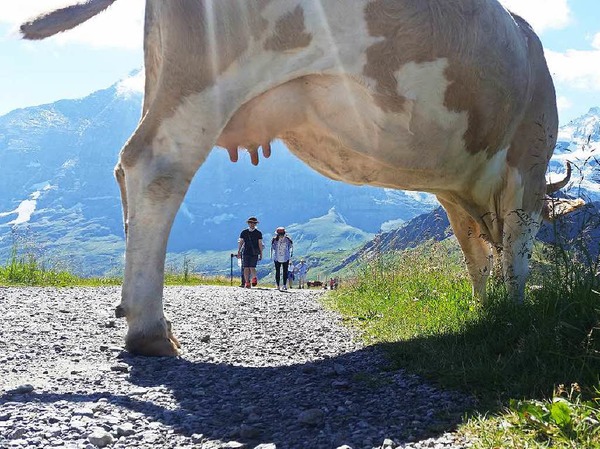 "Im Berner Oberland ist immer was los..." findet Martina Promesberger