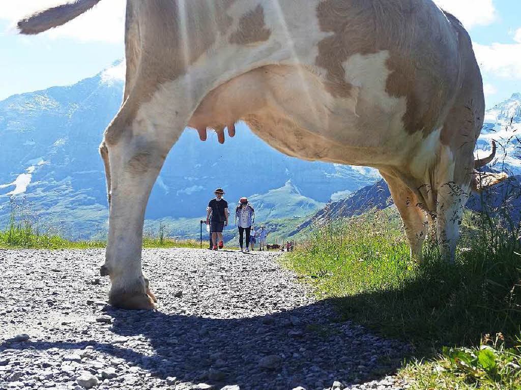 „Im Berner Oberland ist immer was los...“ findet Martina Promesberger