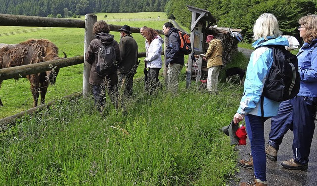 Weidfelder und Mhwiesen standen im Mittelpunkt der BUND-Exkursion in Gersbach.   | Foto: ZVG