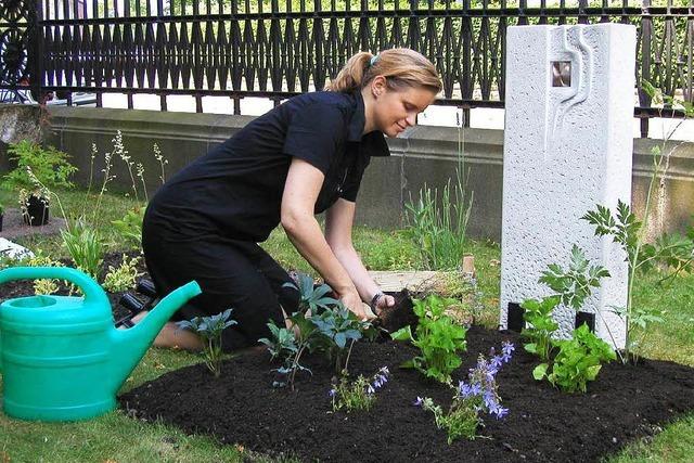 Vergiss mein nicht: Blumenschmuck auf Grbern