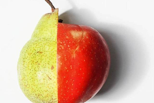 Apfel trifft Birne: Birpfel oder Apfirne?