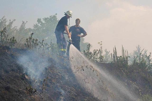 Flchenbrand bei Sulz im Gewann Galgenberg war schnell gelscht