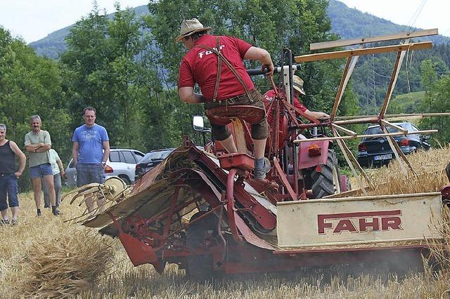 Einsatz fr Bindemher und Dreschmaschine