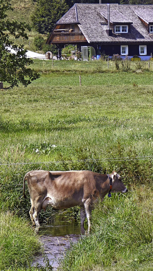 Langenordnach  | Foto: Peter Stellmach