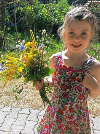 "Sommerstrau" fotografiert in Wiesloch von Opa Sommer aus Rheinfelden