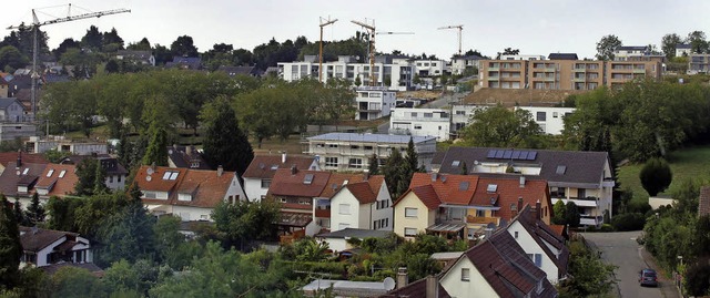 Das Baugebiet Hosenmatten II in Burgheim ist ziemlich schnell bebaut worden.   | Foto: heidi fssel