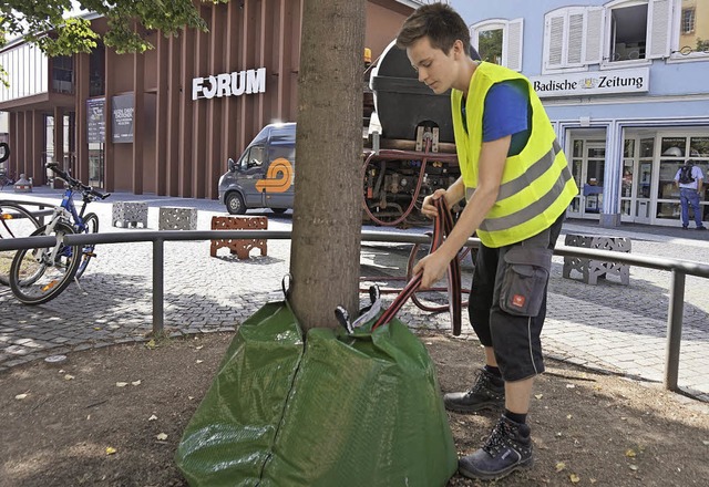 Diese Wasserscke finden sich an bis zu 30 Bumen in der  Stadt.   | Foto: kls