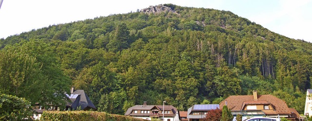 Links und rechts unterhalb des Rabenfe...schwend sollen Fichten gefllt werden.  | Foto: Ulrike Jger