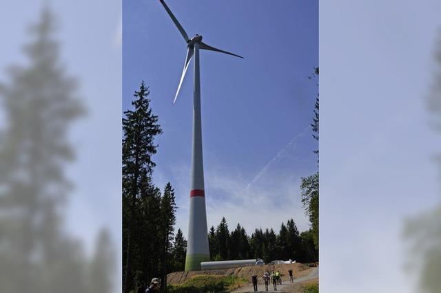 Windenergie für 12.000 Haushalte: Prechtäler Schanze I geht im Oktober ans Netz