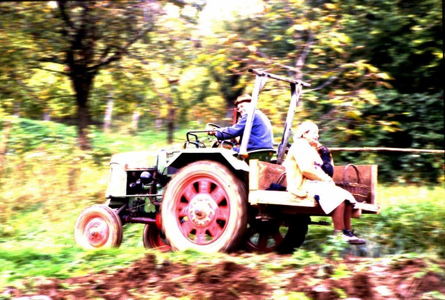 Platz eins: Dieter Rsch fotografierte das Paar auf dem rasenden Traktor.  | Foto: Dieter Rsch