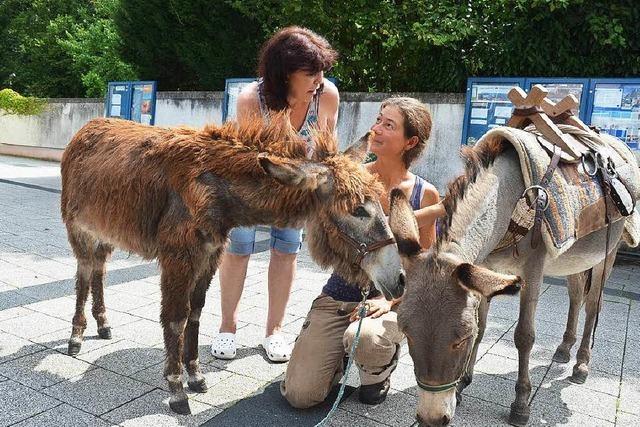 Mit zwei Eseln auf groer Tour