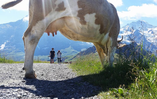 Im Berner Oberland ist immer was los. &#8230;   | Foto: Martina Promesberger/ZVG