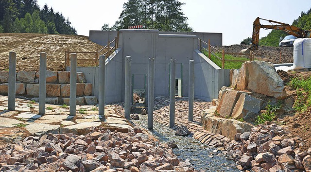 Acht, mit Beton ummantelte Stahltrger...gefhrtem Gerll und Bumen schtzen.   | Foto: KLaus Fischer