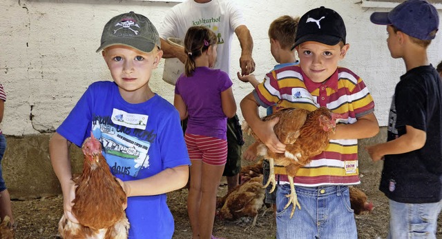 Besuch auf dem Biobauernhof Eggs:  Jano und Hannes haben ein Huhn erwischt.   | Foto: Frank Leonhardt
