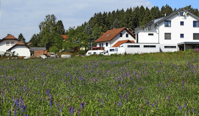 Die Wiese stlich der bestehenden Bebauung wird Baugelnde.   | Foto: Gert Brichta