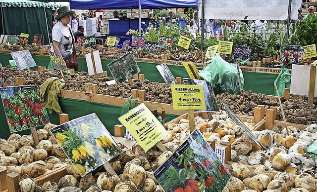 In Inzlingen gibt es am Wochenende das erste Gartenfestival.   | Foto: zvg