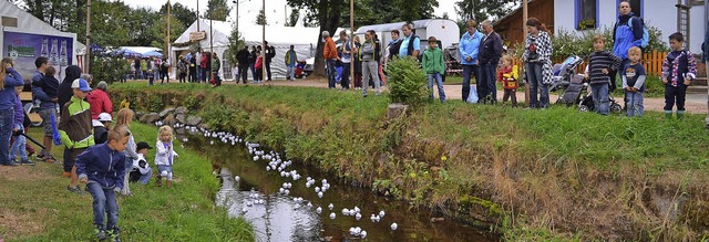 Die Entenrennen gehren zu den Attraktionen des Rtenbacher Bachfestes.   | Foto: Liane Schilling