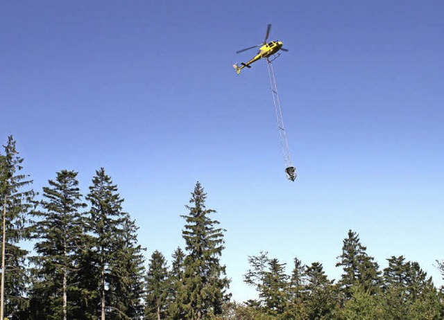 Morgen wird ein Helikopter ber die Wlder Prechtals kreisen.   | Foto: Archiv