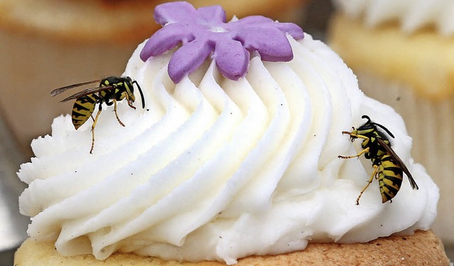 Wespen treten diesen Sommer vermehrt a...inkt, sollte  Vorsicht walten lassen.   | Foto: dpa