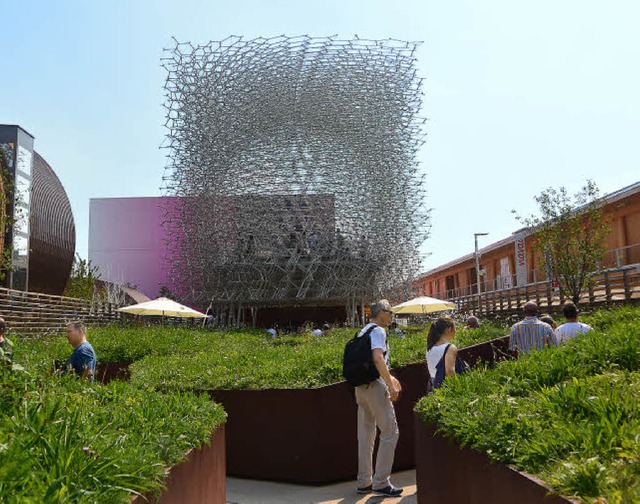 Der englische Pavillon bei  der Expo 2...bildet eine begehbare Bienenwabe nach.  | Foto: Andrea Schiffner