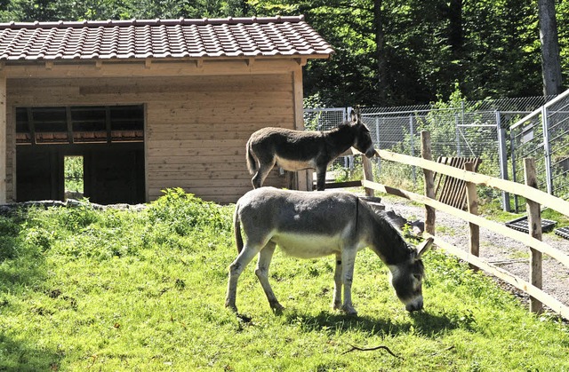 So sieht es aus, das neue Zuhause der beiden Esel.   | Foto: Gabriele Zahn