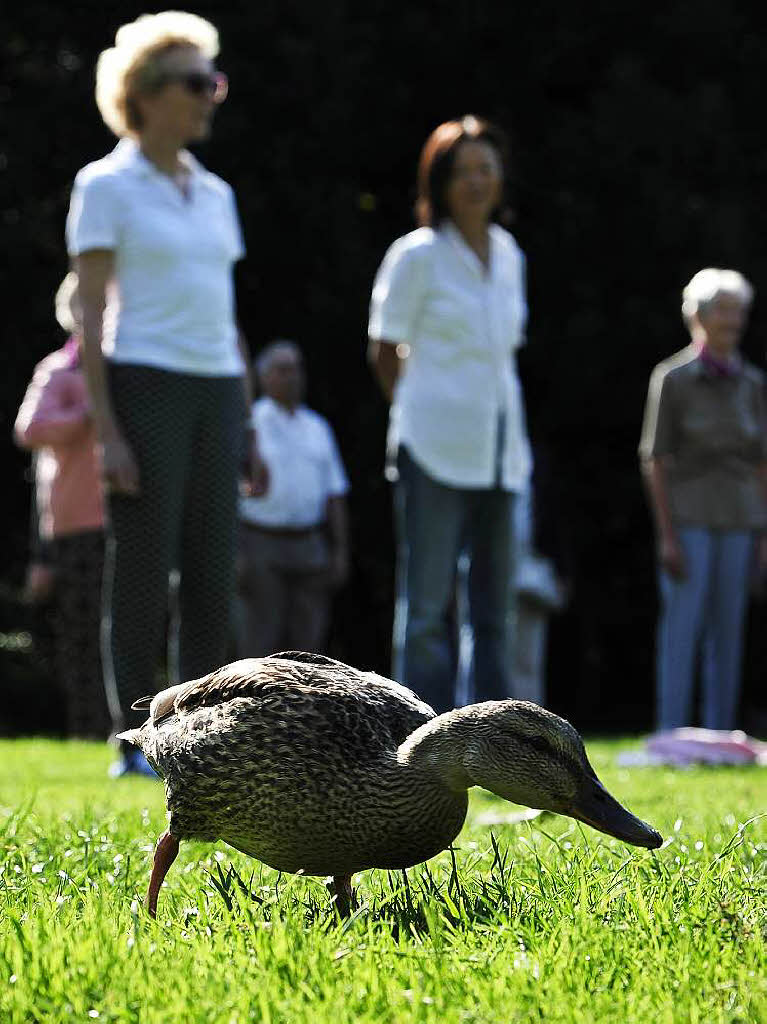 Tai Chi im Stadtgarten