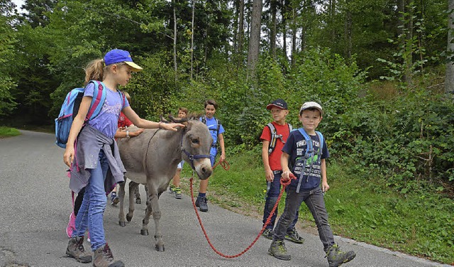 Auf den Esel gekommen: die Kinder beim Ferienprogramm   | Foto: Elena Butz