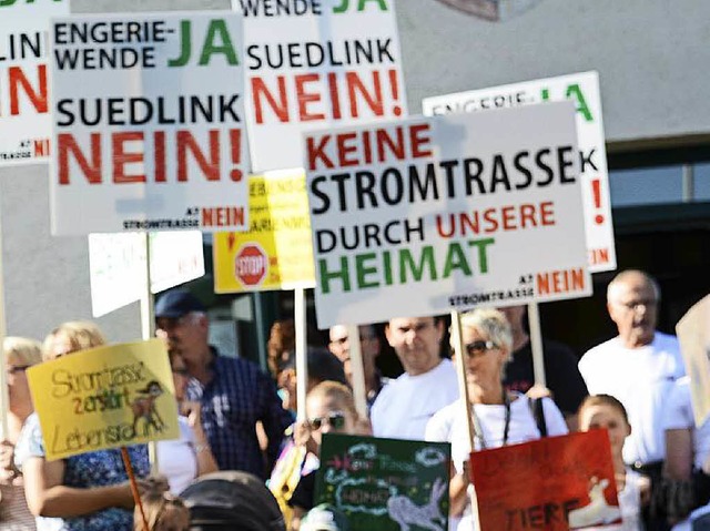 Der Protest gegen die Stromtrassen ist politischer geworden.  | Foto: David Ebener