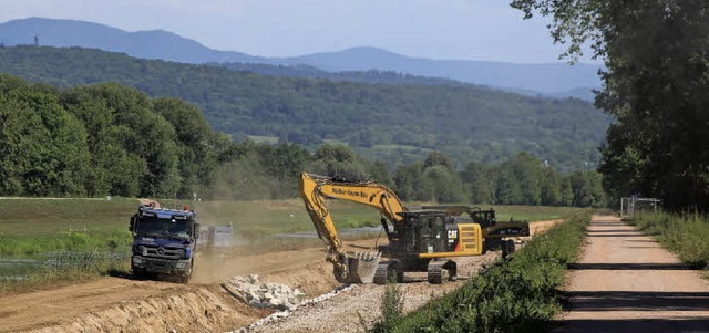 Strukturverbesserung am Deich des Kndringer Baggersees  | Foto: Felix Lieschke