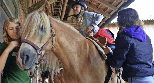 Turnen auf dem Pferd &#8211; Haflinger Pepito nimmt&#8217;s gelassen.   | Foto: Susanne Ehmann