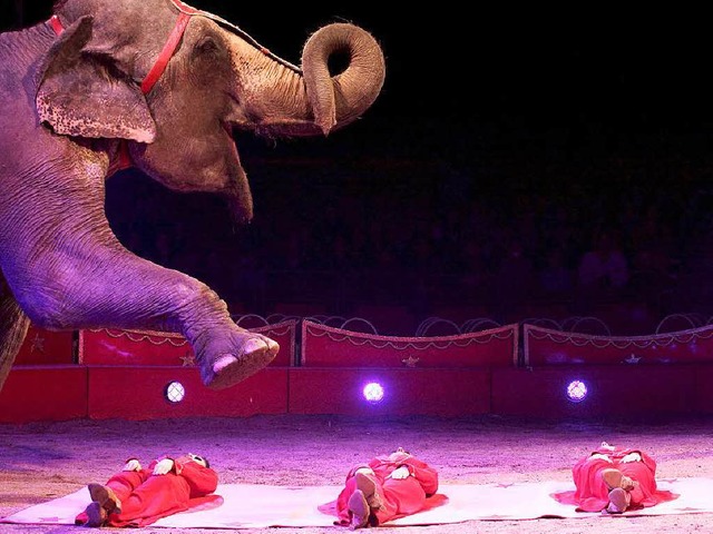 Elefantennummer im Zirkus Charles Knie   | Foto: veranstalter