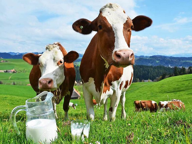 Die Milch ist zu billig, klagen  Bauern.  | Foto: -