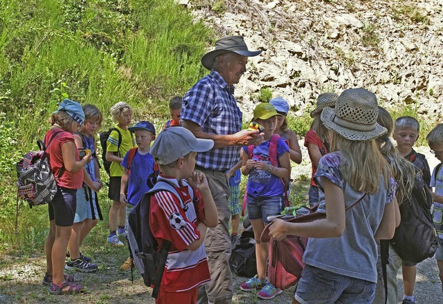 Geocaching mit dem Schwarzwaldverein Oberprechtal   | Foto: Verein