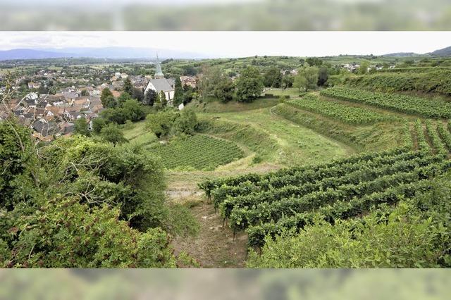 Das Interesse an einer Flurneuordnung im Gebiet Kirchgrub ist gro