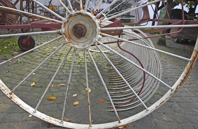 25 Jahre alt ist das Landwirtschaftsmuseum in Altweil.  | Foto: Senf