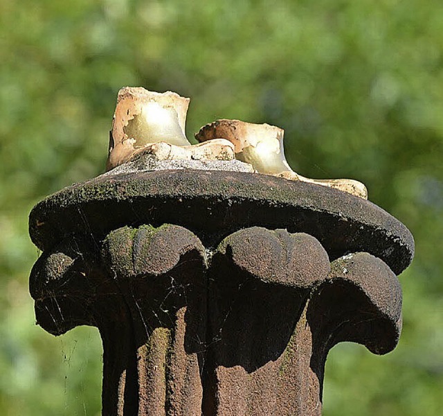 Die zwei golden schimmernden &#8222;Gnsefchen&#8220;   | Foto: Eggstein