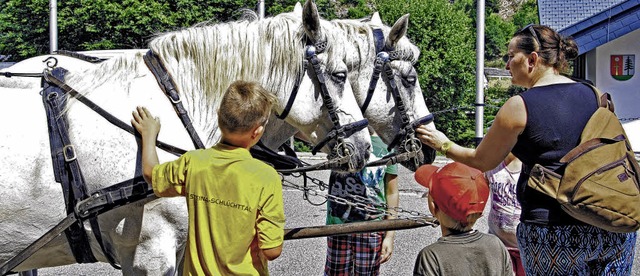 Ebenso wie die Kinder genoss auch Hort...r-Jaerke den Kontakt mit den Pferden.   | Foto: Privat