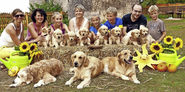Der &#8222;I - Wurf&#8220;  der Golden...ollegen frs Familienfoto aufgestellt.  | Foto: Scheu