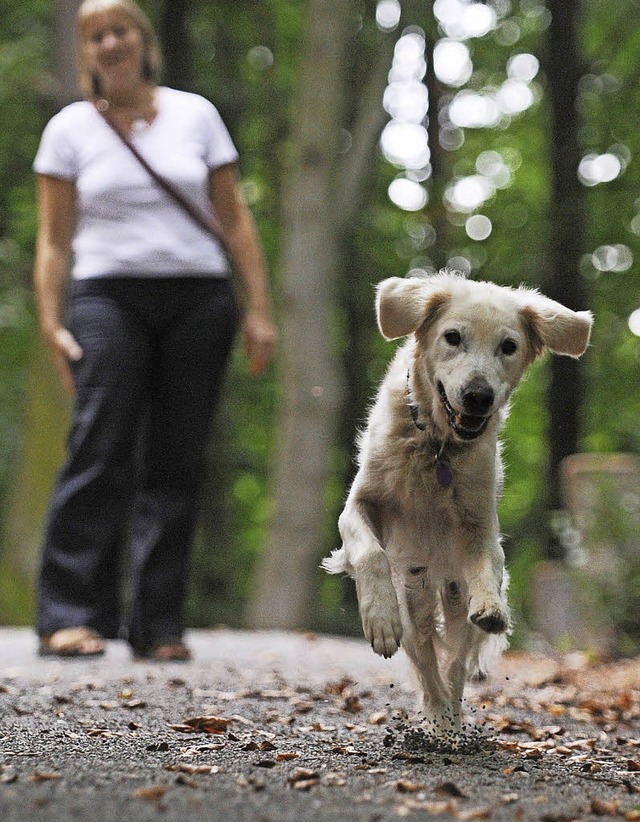 Hunde mssen in Naturschutzgebieten angeleint sein.   | Foto: dpa