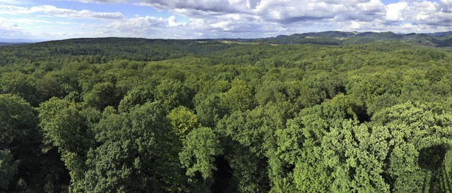 Eichbergturm Emmendingen  | Foto: Patrik Mller