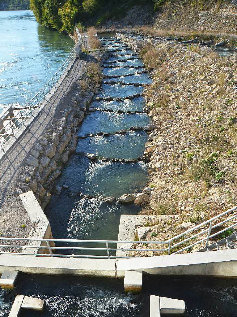 Eindrcke von der Besichtigung des Wasserkraftwerks Ryburg-Schwrstadt. Das Fischaufstiegsgewsser und das Maschinenhaus standen im Mittelpunkt des Abends, durch den Beat Karrer die Besucher fhrte.