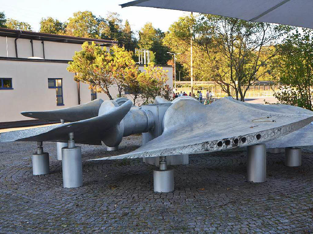 Eindrcke von der Besichtigung des Wasserkraftwerks Ryburg-Schwrstadt. Das Fischaufstiegsgewsser und das Maschinenhaus standen im Mittelpunkt des Abends, durch den Beat Karrer die Besucher fhrte.