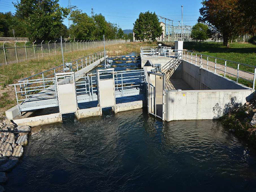 Eindrcke von der Besichtigung des Wasserkraftwerks Ryburg-Schwrstadt. Das Fischaufstiegsgewsser und das Maschinenhaus standen im Mittelpunkt des Abends, durch den Beat Karrer die Besucher fhrte.