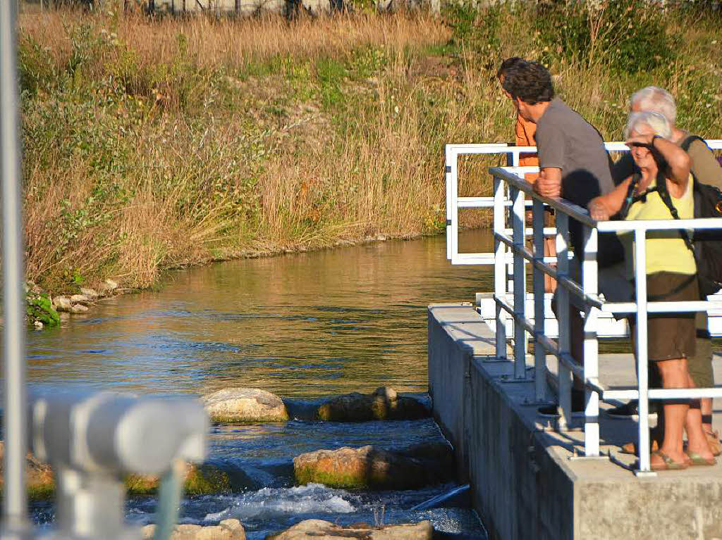 Eindrcke von der Besichtigung des Wasserkraftwerks Ryburg-Schwrstadt. Das Fischaufstiegsgewsser und das Maschinenhaus standen im Mittelpunkt des Abends, durch den Beat Karrer die Besucher fhrte.