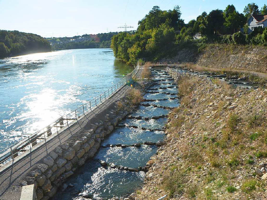 Eindrcke von der Besichtigung des Wasserkraftwerks Ryburg-Schwrstadt. Das Fischaufstiegsgewsser und das Maschinenhaus standen im Mittelpunkt des Abends, durch den Beat Karrer die Besucher fhrte.