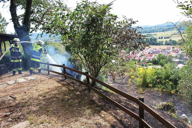 Die Herbolzheimer Wehr lscht einen Flchenbrand.  | Foto: Feuerwehr Herbolzheim