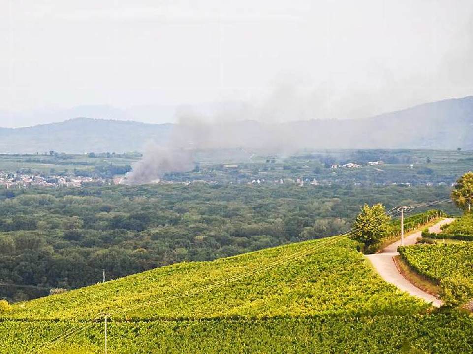 Die Rauchsäule war auch aus großer Entfernung noch zu sehen.  | Foto: Feuerwehr Freiburg
