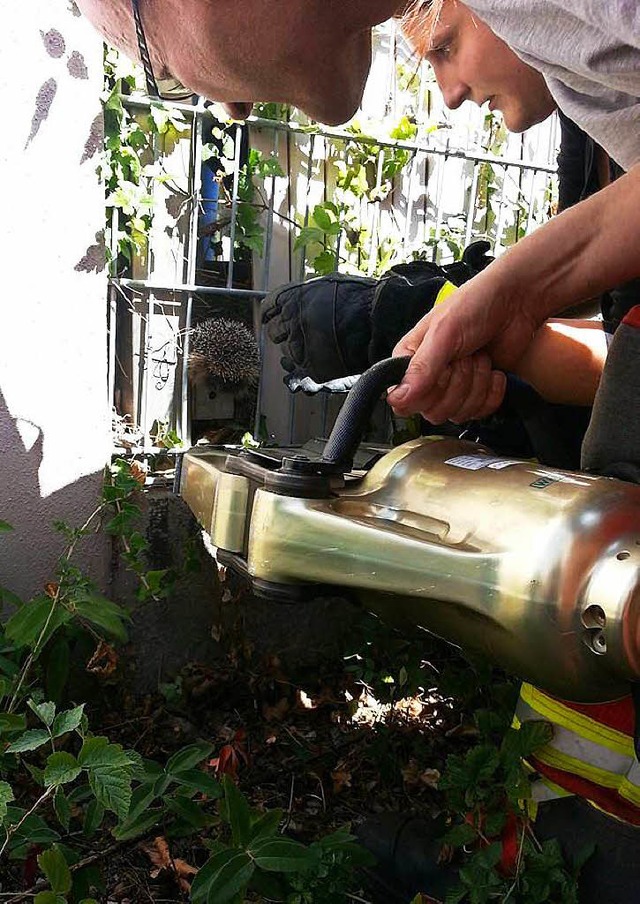 Mit schwerem Gert konnte die Bad Sckinger Feuerwehr den Igel retten.  | Foto: Feuerwehr Bad Sckingen